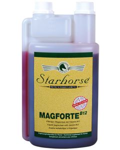 Magforte B12 www.starhorse.at