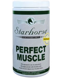 Perfect Muscle www.starhorse.at