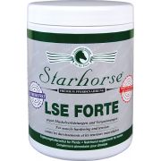 LSE Forte www.starhorse.at